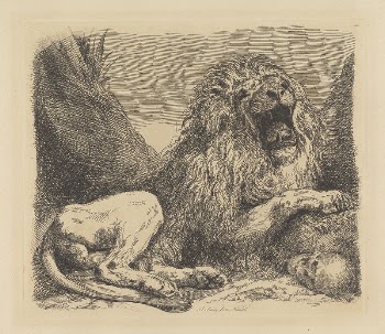 A Study from Nature; a lion | Free Photo - rawpixel