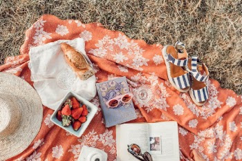 A Summer Picnic