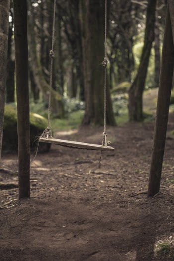 a swing in the forest