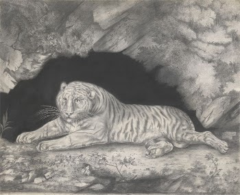 A Tiger Lying in the Entrance | Free Photo - rawpixel
