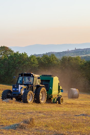 A Tractor In The Field