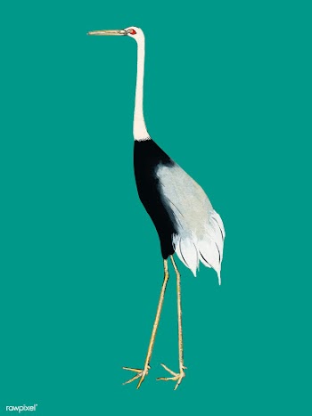 A traditional portrait of a flock of beautifu.. | Free stock vector - 471373