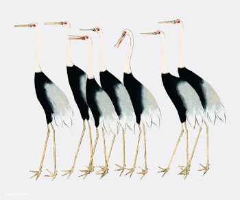 A traditional portrait of a flock of beautifu.. | Free stock vector - 471512