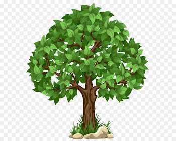 A transparent tree White Transparent - Transparent Tree PNG Clipart Picture 