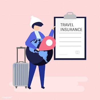 A traveler with a travel insurance policy doc.. | Free stock vector - 478626