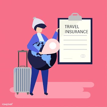 A traveler with a travel insurance policy doc.. | Free stock vector - 479454