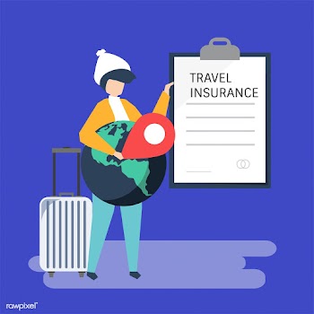 A traveler with a travel insurance policy doc.. | Free stock vector - 479462
