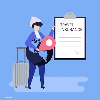 A traveler with a travel insurance policy doc.. | Free stock vector - 479464