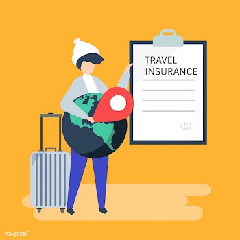A traveler with a travel insurance policy doc.. | Free stock vector - 479492