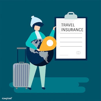 A traveler with a travel insurance policy doc.. | Free stock vector - 480784