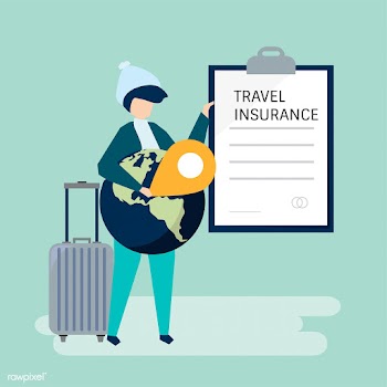 A traveler with a travel insurance policy doc.. | Free stock vector - 480832