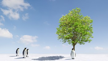 A tree growing in Antarctica