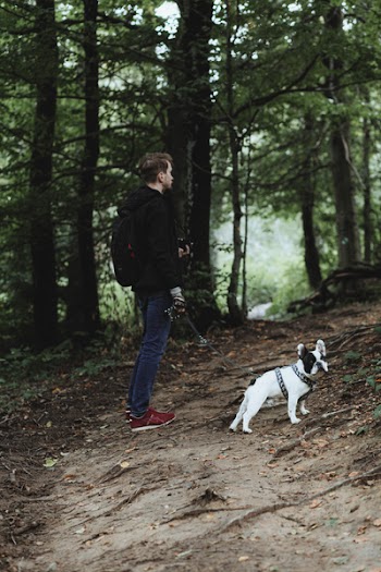 A trip in the mountains with a dog