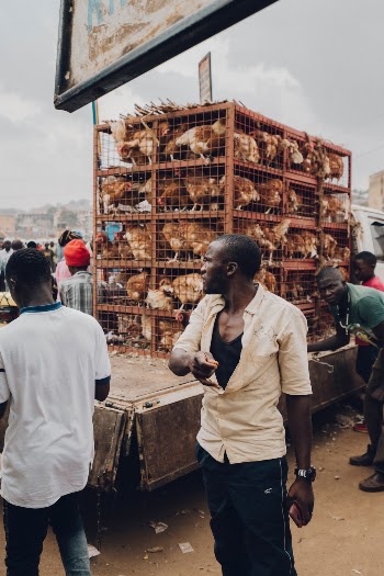 A trip to the landlocked country in Africa reveals visual surprises.