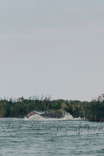 A trip to the landlocked country in Africa reveals visual surprises.