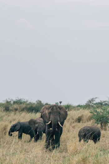 A trip to the landlocked country in Africa reveals visual surprises.