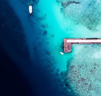 A very famous dive site, Alimatha in Vaavu Atoll where hundreds of nurse sharks gather to feed.