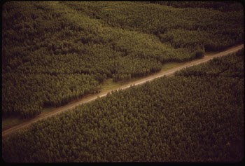 A View West Across the Route. | Free Photo - rawpixel