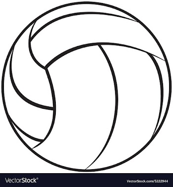 A volleyball outline isolated in white background vector image