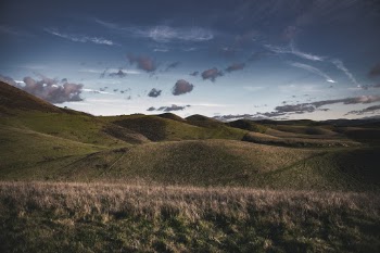 A Walk in the Hills