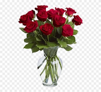 A Warm Smile - Roses In A Vase