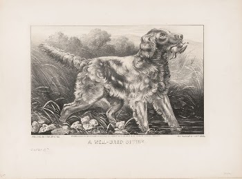 A well-bred setter (1871) by Currier | Free Photo - rawpixel