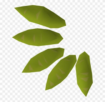 A Willow Seed May Be Grown Into A Willow Tree Using - Willow Tree Seed