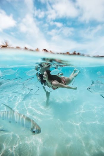 A woman dives beneath the waves amongst fish in the Maldivian shallows