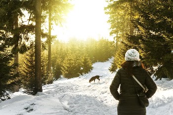 A woman walking her dog | Free Photo - rawpixel