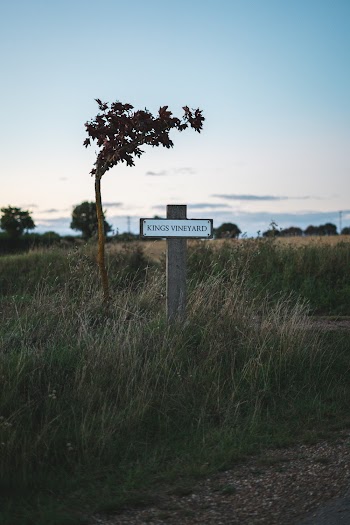 A Wooden Signage On Green Grass Field