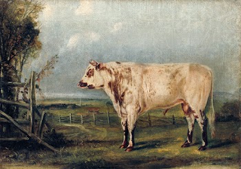 A Young Bull (ca. 1849) painting in high… | Free public domain illustration