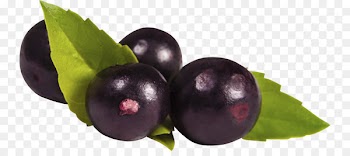 Açaí na tigela Açaí palm Berry Juice Amazon rainforest - acai berry 