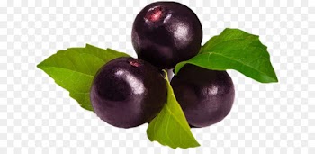 Açaí na tigela Açaí palm Berry Smoothie Concord grape - others 