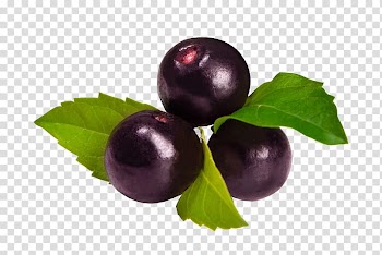 Açaí na tigela Juice Açaí palm Berry Fruit, juice transparent background PNG clipart