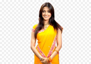 Aarti Chabria Navel Sari Actor Bollywood - actor 