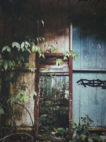 Abandoned Building