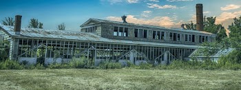 Abandoned Building on Forest