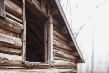 Abandoned cabin in the forest. | Free Photo - rawpixel
