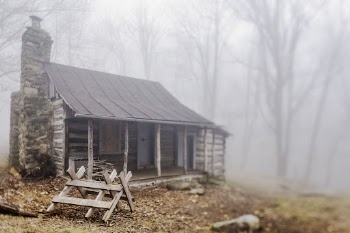 Abandoned cabin in the forest. | Free Photo - rawpixel