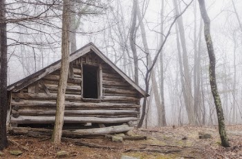 Abandoned cabin in the forest. | Free Photo - rawpixel