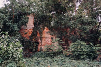 Abandoned ruined house