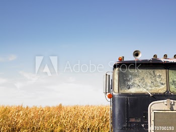 abandoned truck