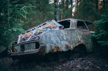 Abandoned Vehicle On Forest