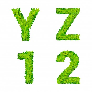 Abc grass leaves letter number elements modern nature placard lettering leafy foliar deciduous   set. y z 1 2 leaf leafed foliated natural letters latin english alphabet font collection. Free Vector
