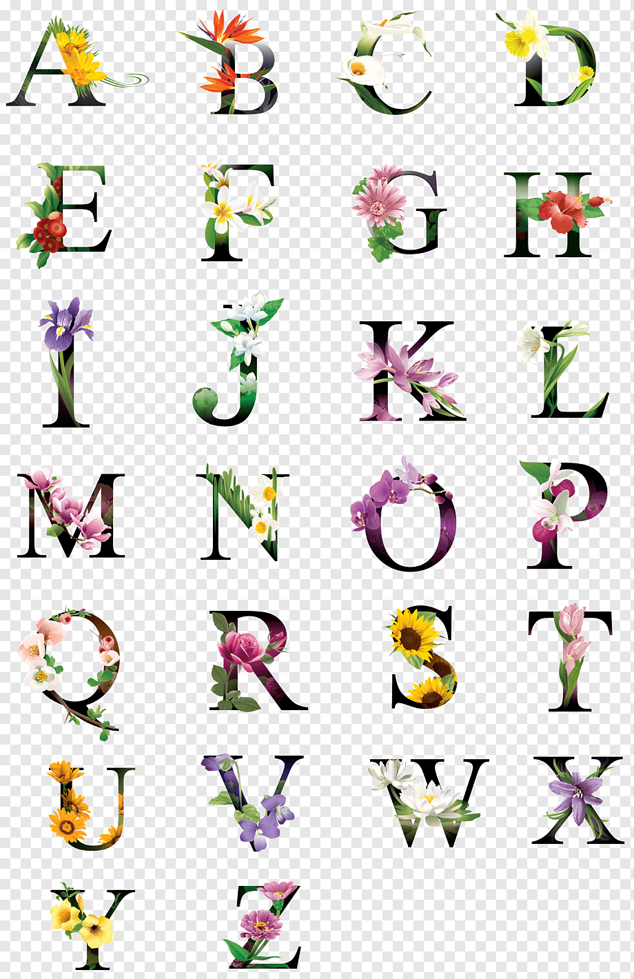 ABC's Lowercase, alphabet collection, floral alphabetical decor, text, typography, flower png