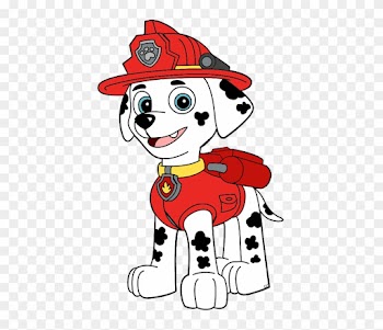 About - Marshall Zuma Paw Patrol