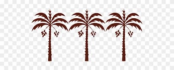 About Our Date Paste - Palm Tree Saudi Arabia Clipart