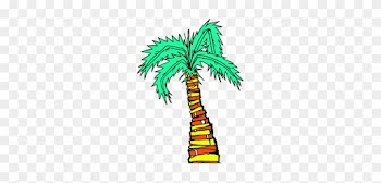 About - Palm Tree