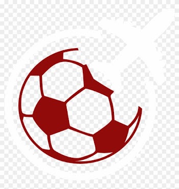 About Soccer Assist - Salon Bel Air Foot