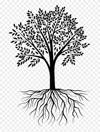 About - Transparent Tree Of Roots